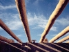 Traditional roof