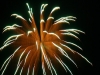 Family Fun Night Fireworks